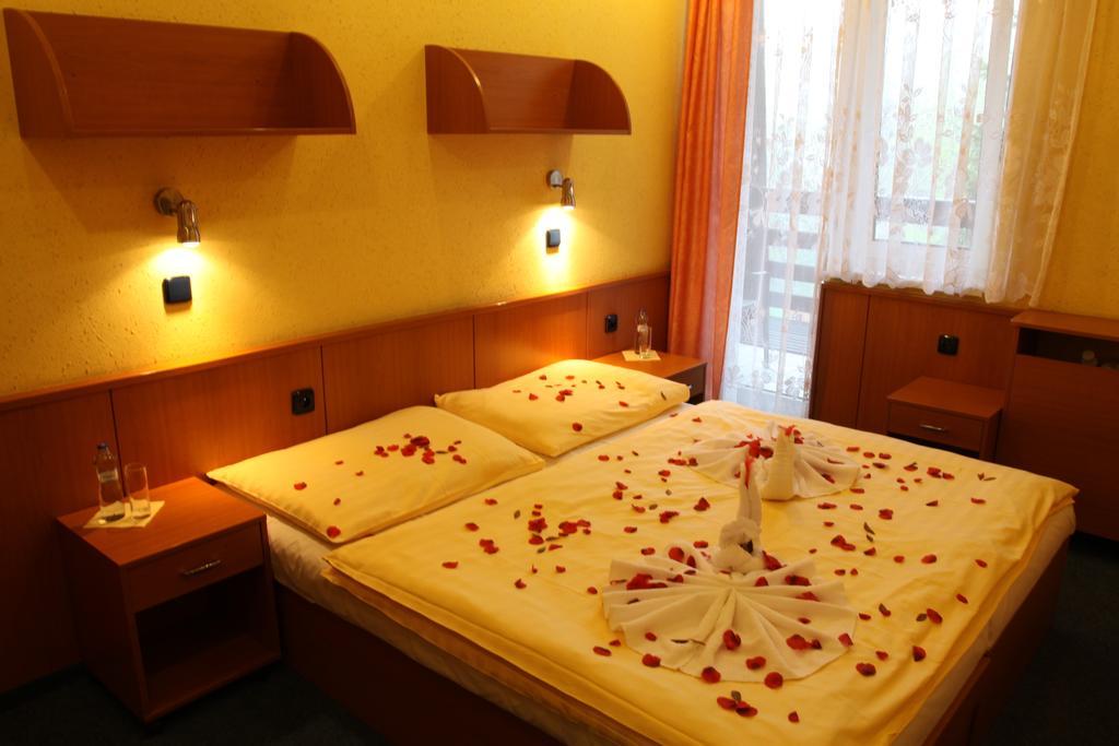 Hotel Odra Ostravice Room photo